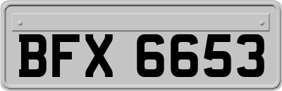 BFX6653