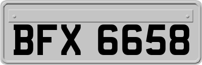 BFX6658
