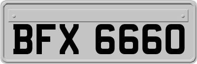 BFX6660