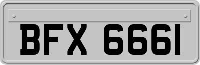 BFX6661
