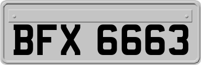 BFX6663