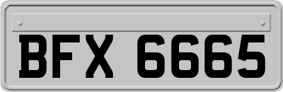 BFX6665
