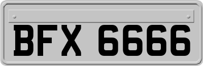 BFX6666