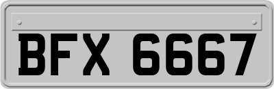 BFX6667