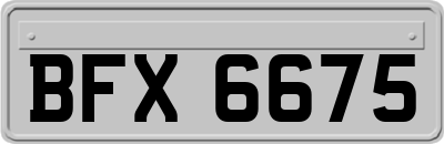BFX6675