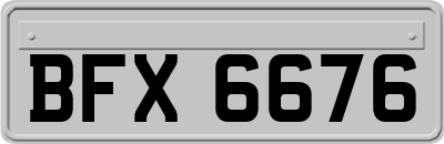 BFX6676