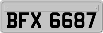 BFX6687