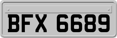BFX6689