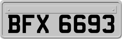 BFX6693