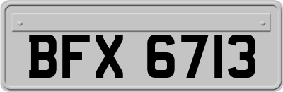 BFX6713