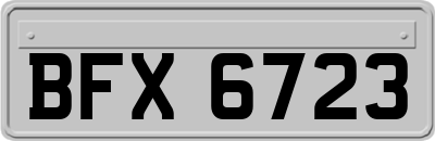 BFX6723