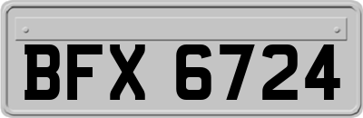 BFX6724