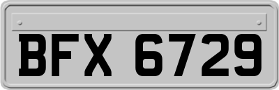 BFX6729