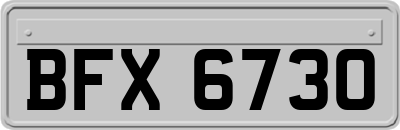 BFX6730