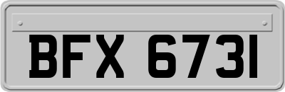 BFX6731