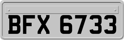 BFX6733