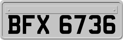 BFX6736