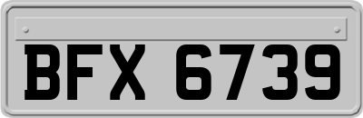 BFX6739