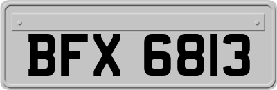 BFX6813
