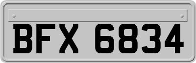 BFX6834