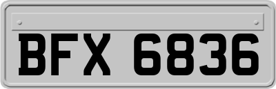BFX6836