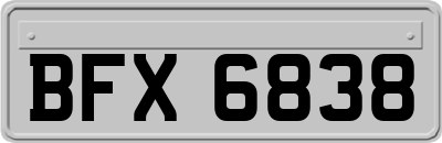 BFX6838