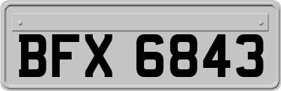 BFX6843