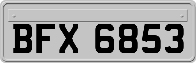 BFX6853