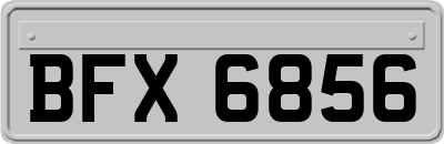 BFX6856