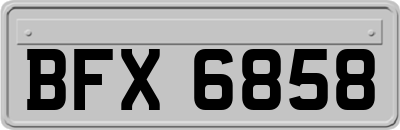 BFX6858
