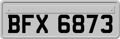 BFX6873