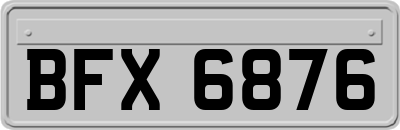 BFX6876