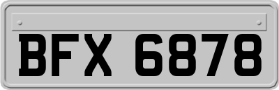 BFX6878