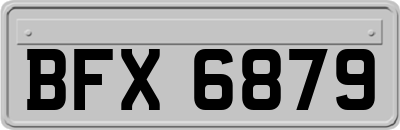 BFX6879