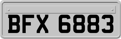 BFX6883