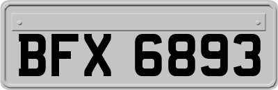 BFX6893