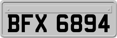 BFX6894