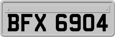 BFX6904