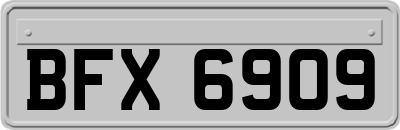 BFX6909