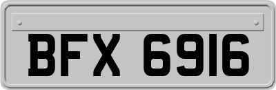 BFX6916