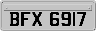 BFX6917