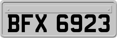 BFX6923