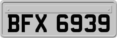 BFX6939