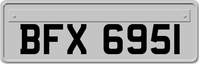 BFX6951