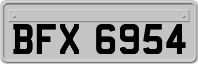 BFX6954
