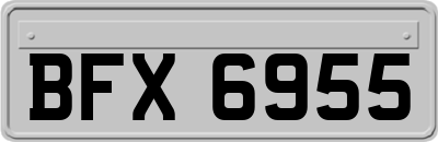 BFX6955