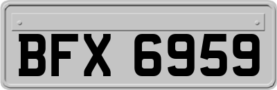 BFX6959