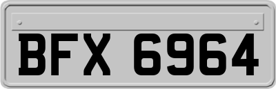 BFX6964