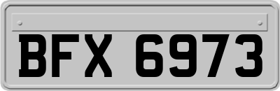 BFX6973