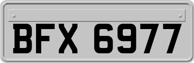 BFX6977